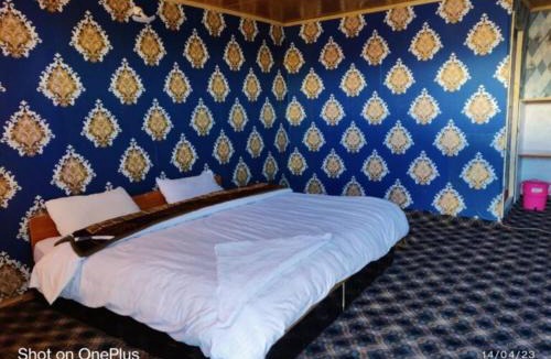 Leh Hotel | Mystic Mountains Cottage Merak Pangong