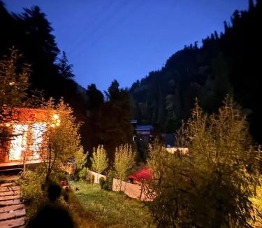 Ghiyagi House | Mystic Vibes - Jibhi