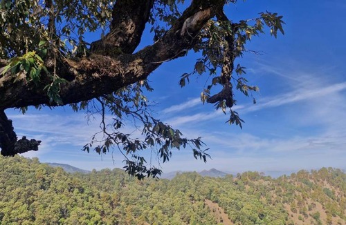 Pauri House | Namaste Pahad Home Stay