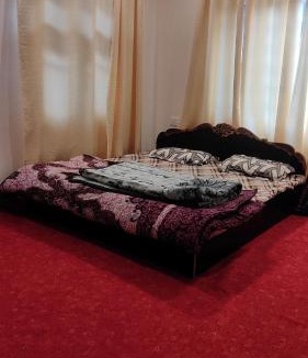 Srinagar House | Nile Homestay