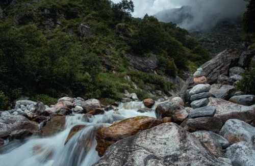 Ghangaria House | Odyssey Stays Ghangaria - 9Kms Trek from Pulna, Govindghat