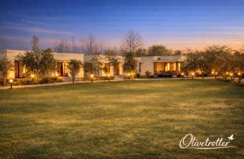 Nangal Hotel | Olive Trotter, Nangal