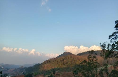 Ooty House | ooty dreams cottage 1