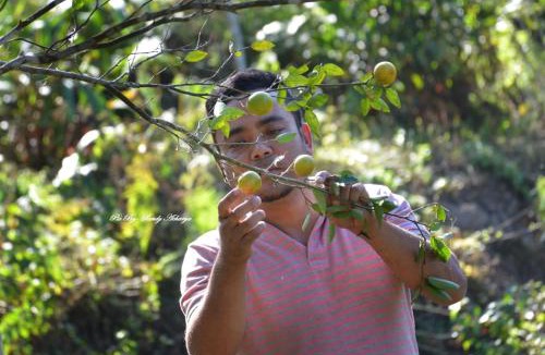 Kurseong House | Orange Orchard