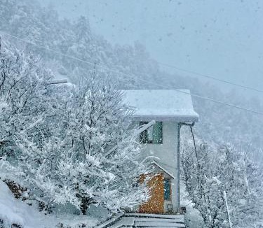 Shilon Bagh Resort | Orchard Valley Resort