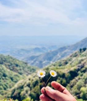 Mussoorie Hotel | Orko Hilltop Resort - Mussoorie - Premium Rooms & Camps