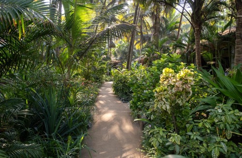 Ashvem Resort | Palm Grove Beach Resort