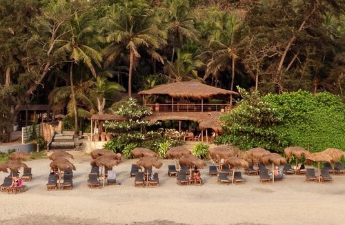 Ashvem Resort | Palm Grove Beach Resort