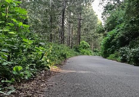 Yercaud House | Pani thuzhi