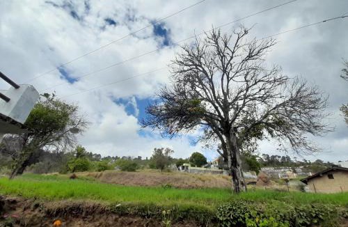 Champawat House | Pankhola - A place to Rejuvenate