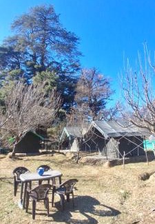 Kullu Other | Paradise Camping Apple Orchard