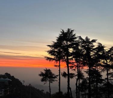 McLeod Ganj Hotel | Pema Thang Guest House Mcleodganj