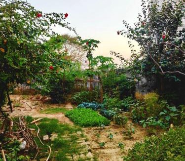 Jaunpur House | Perfect Home Stay for Guests & Families