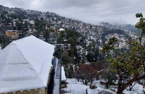 Kaul Cottage | Pine pioneer the eco resort