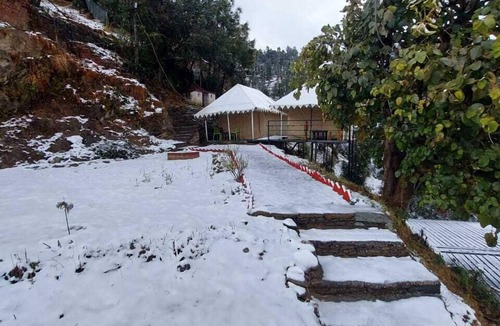 Kaul Cottage | Pine pioneer the eco resort