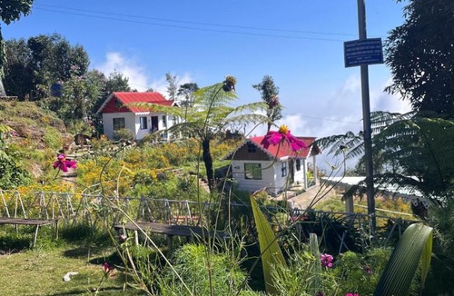 Kurseong House | Pine Tree Homestay