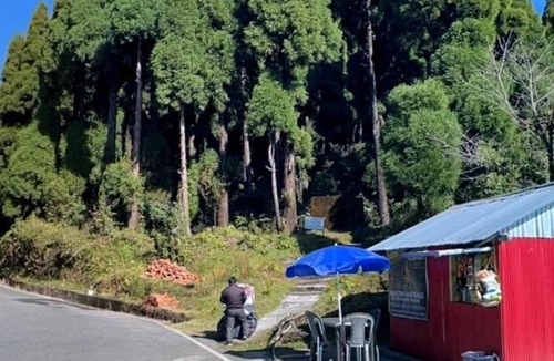 Kurseong House | Pine Tree Homestay
