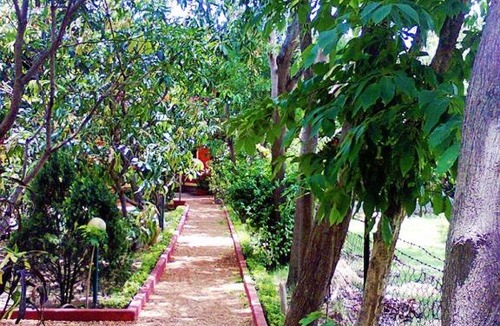 Bolpur Hotel | Prokriti Bon Bungalow