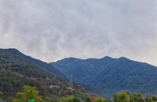 Suja Hotel | Raahi Stay, Landing site Bir - Stay & Cafe