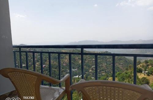 Shoghi Hotel | Raikot Resort