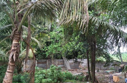 Ganapathichettikulam Hotel | Ramya Green House