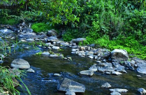 Stuart Hill Resort | River Valley Retreat Coorg