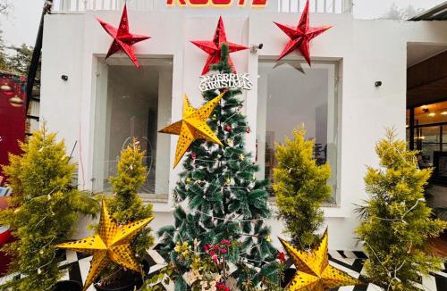 Dehradun Hostel | Rootz