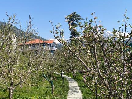 Manali House | Sahīra - The Orchard House