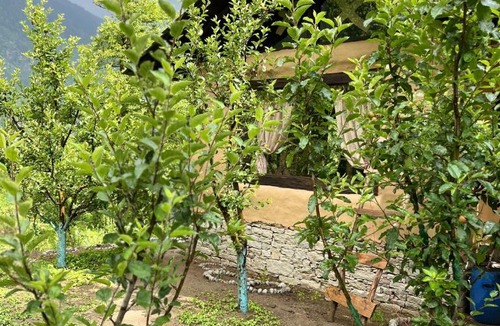 Manali House | Sarayu Farmstays