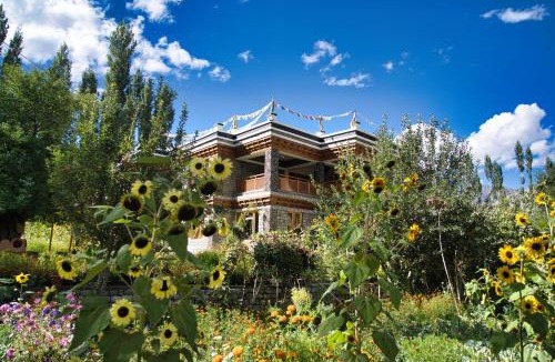 Hunder Resort | Semba retreat