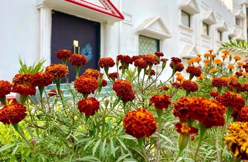 Behror Hotel | Shakti Resort Behror A-Unit Of MLS RESORTS Pvt Ltd