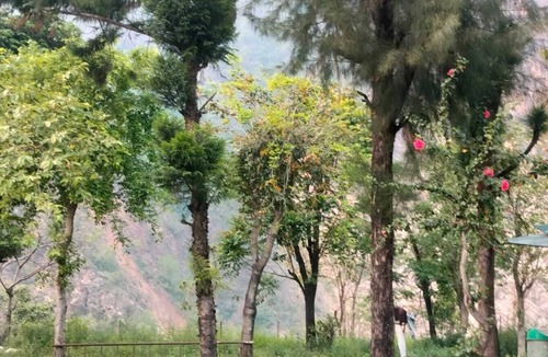 Shivanandi Hotel | Sheetal Resort and Restaurant