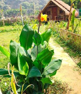 Cox's Bazar Resort | Sky Eco Resort