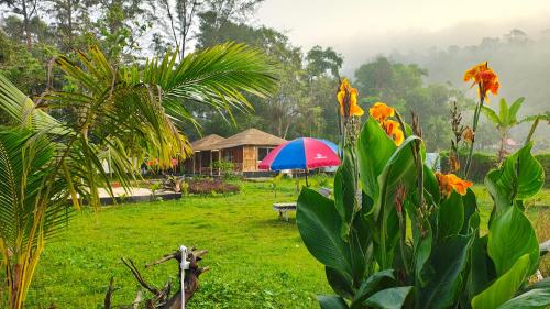 Cox's Bazar Hotel | Sky Eco Resort