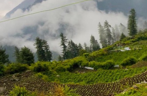Kullu Hotel | Skyblue cafe