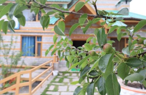 Vashist Hotel | Snow River, Manali