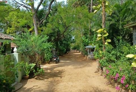 Tiruvannamalai House | Sonagiri Serene Homestay - Near Ramana Maharishi Ashram