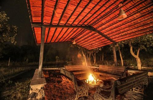 Tala Resort | Spree Maati Jungle Resort