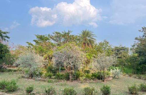 Chengam Other | Sri Anantha Niketan Ashram