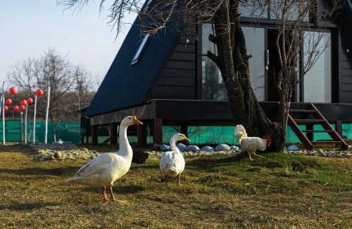 Srinagar Villa | StayVista at The Loft - A-Frame Structure, English Interiors, Bonfire