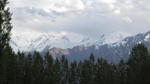 Leh House | Streamlet homestay
