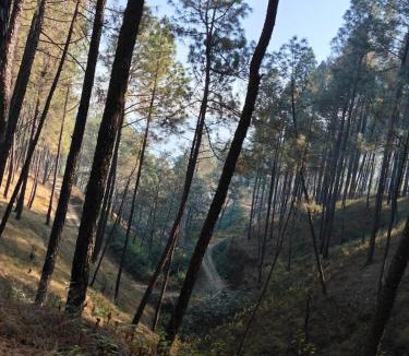 Bageshwar Hotel | Sunrise Vista Resort & Hotel