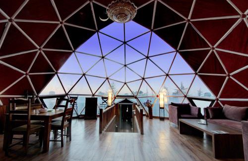Kandaghat Resort | Tarika Resort & Spa , Chail