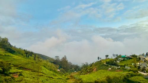 Ooty House | Teyt Grand View