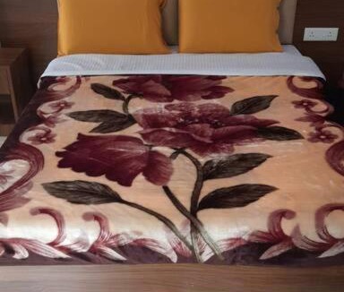 Gangtok Apartment | The Apartment @Dorjee Villa