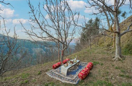 Theog Cabin | The Bagh Kufri - A Himalayan Retreat