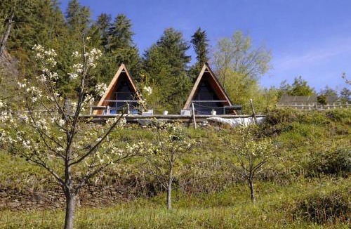Banjar House | The Crystal Cabin