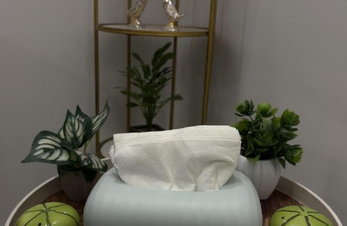 Bullawala Apartment | The Green Hush