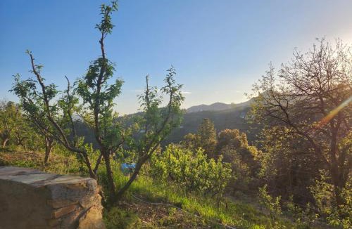 Kaul House | The Gypsy Soul Mukteshwar