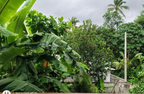 Varkala Hotel | The Haira Varkala